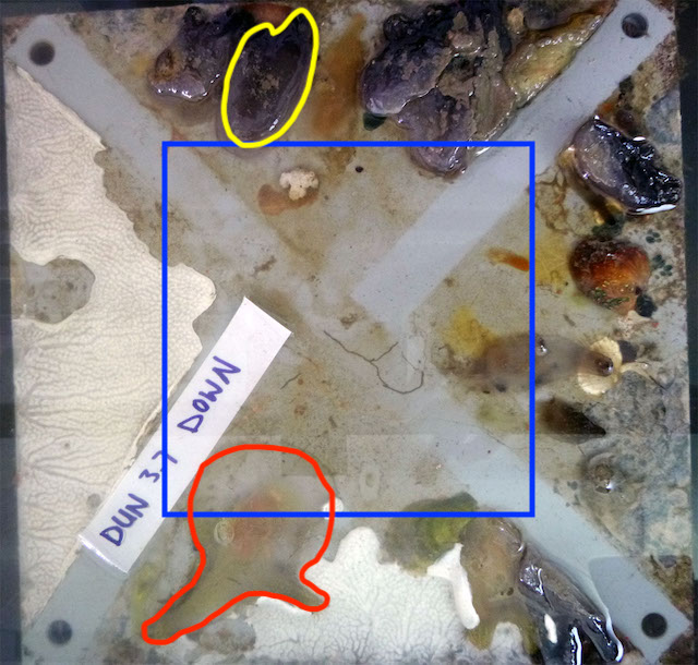 figure image